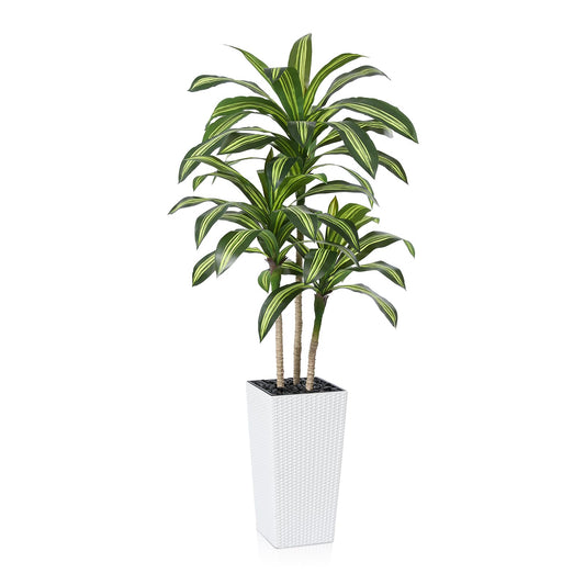 Artificial Dracaena Tree, 6FT UV Resistant  for Indoor & Outdoor, Faux Olive tree